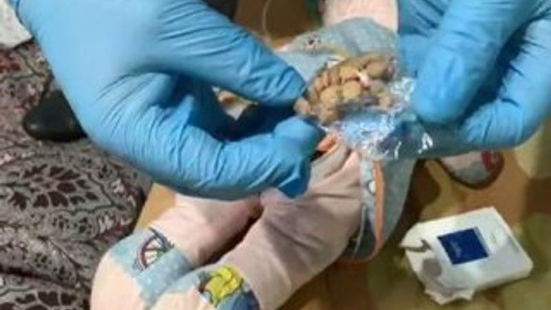 Kahramanmaraş'ta uyuşturucu oyuncak bebeğin içinden çıktı