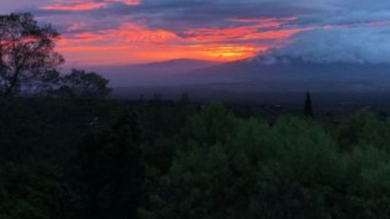 ABD'de uçak düştü: 9 ölü