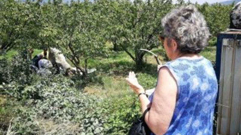 Bursa'da kaza yapan yaralının kurtulması için dua etti