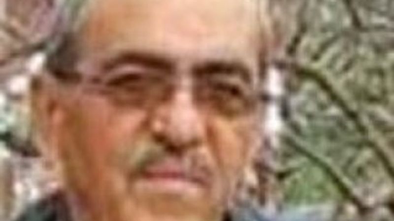 Vişne toplamak isterken canından oldu