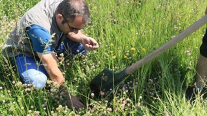 Salep soğanı toplayan kişiye 60 bin TL ceza kesildi