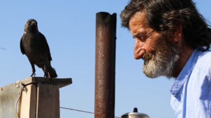 Çay tezgahında kargayla servis yapıyor