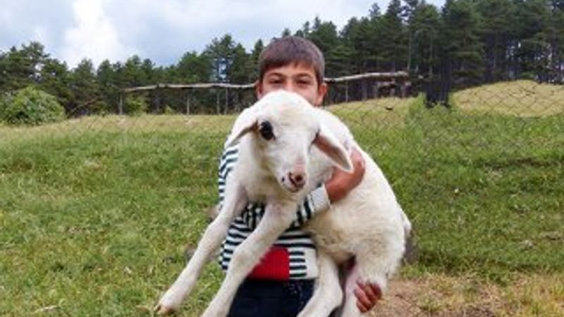 Melikler Yaylası'nda yarım asırlık gelenek