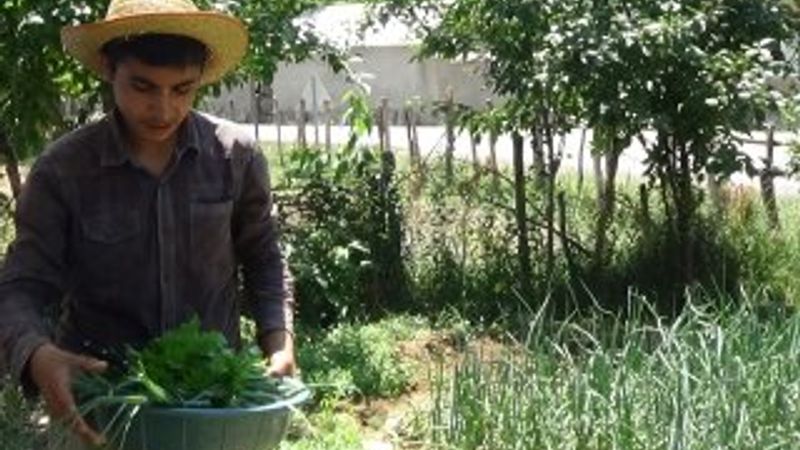 Muş'ta LGS birincisi çocuğun zorlu yaşamı