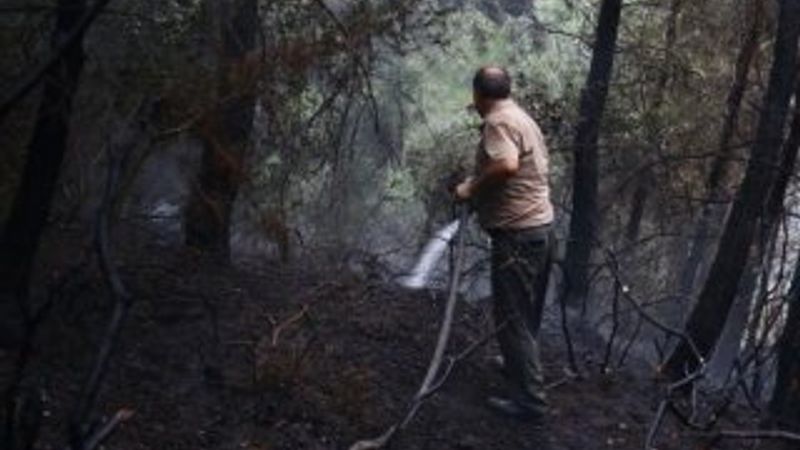 Osmaniye'de 2 hektar kızılçam alan yandı