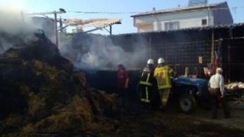 Bursa'da 40 büyükbaşın bulunduğu ahırda yangın çıktı