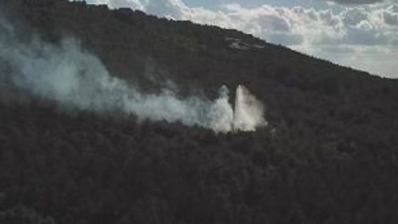 Aydos Ormanı'nda yangın çıktı