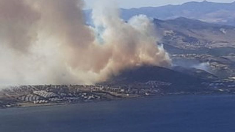 İzmir'de orman yangını