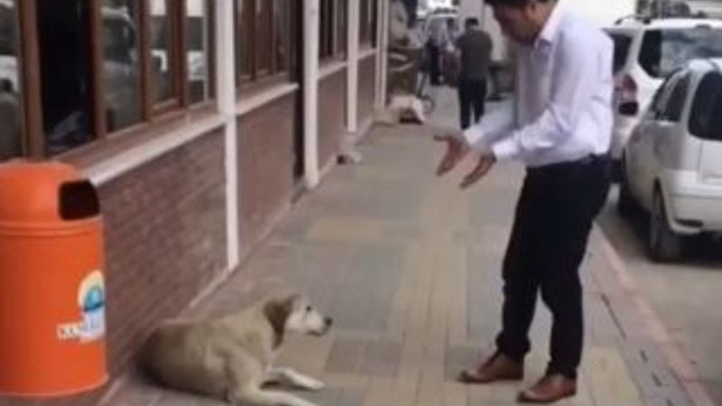 Belediye personelinin köpekle konuştuğu anlar