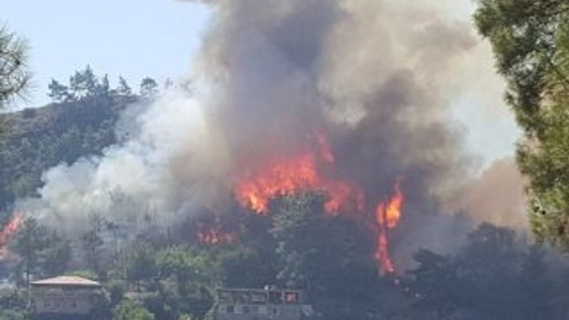 Manavgat’ta orman yangını