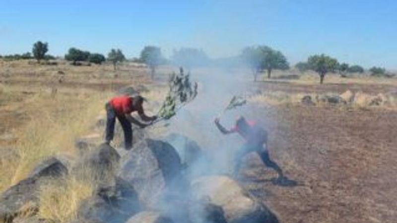 Siverek'te yangına ağaç dallarıyla müdahale