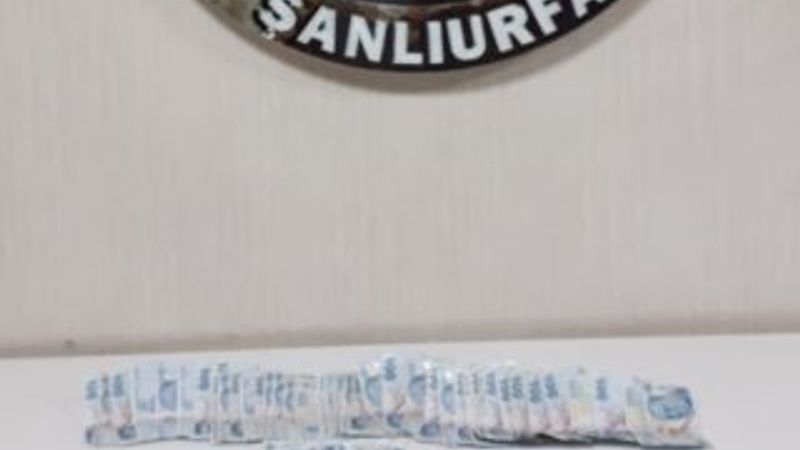 Şanlıurfa’da 8 evi soyan hırsızlar yakalandı