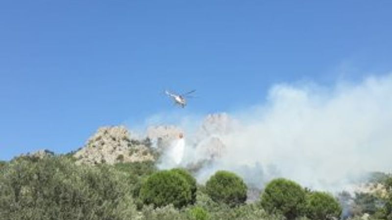 Gömeç’te orman yangını