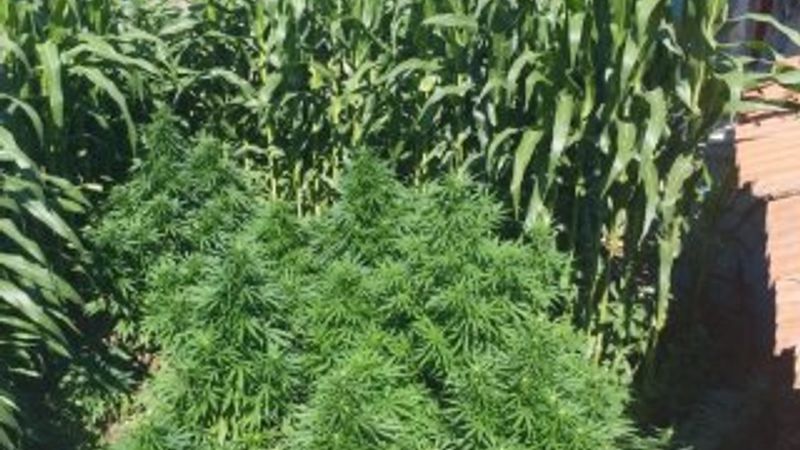 Balıkesir’de 23 kilo esrar ele geçirdi