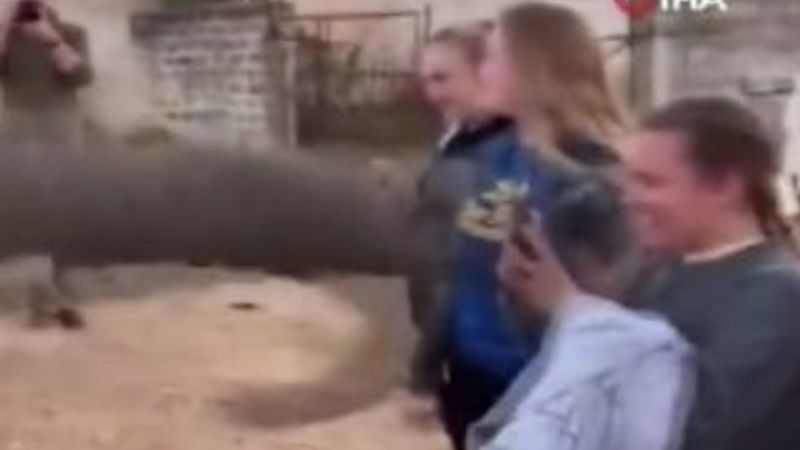 Cep telefonuyla çektiği filden tokat yedi