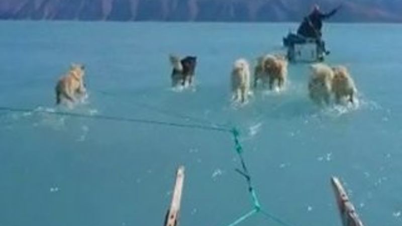 Grönland'da eriyen buzullar sulak oluşturdu