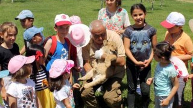 Kayseri'de yavru aslanı, bakıcılar besliyor