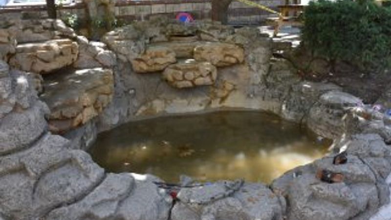 Süs havuzuna giren çocuklar hastanelik oldu