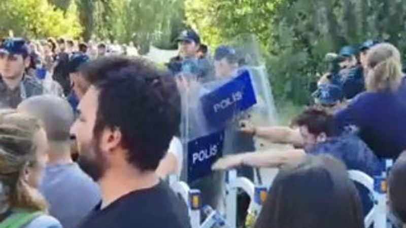 ODTÜ'de ağaç kesimi durduruldu