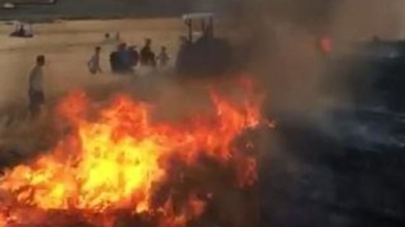 Siverek'te anız yangını: 400 dönüm kül oldu