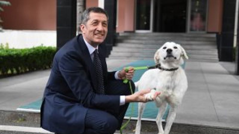 Pergel'e bakanlığın bahçesinde bakılıyor