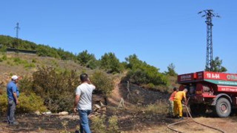 Cunda Adası’nda korkutan yangın