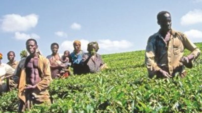 Sömürge parasının yerini  Eco alacak