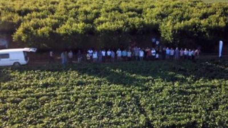 Bursa'da fasulyeden kazanan çiftçilerin mangal partisi