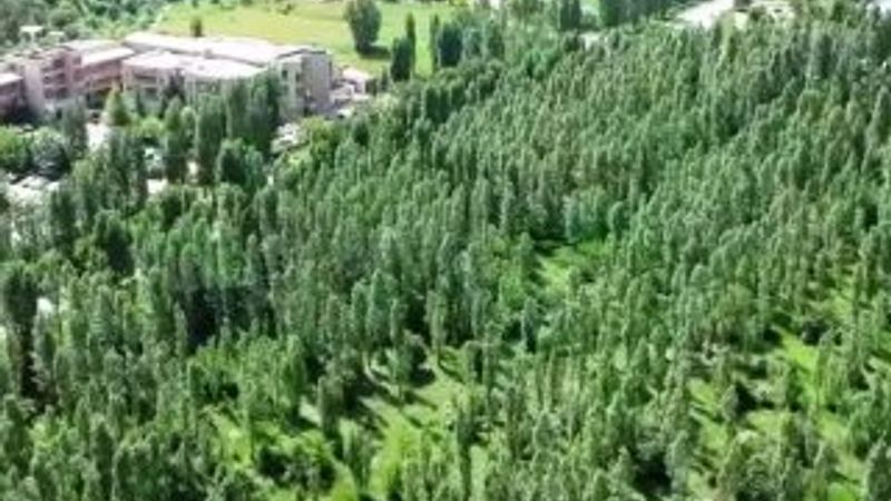 KYK yurdu ile ODTÜ'de tek seslilik sona erecek