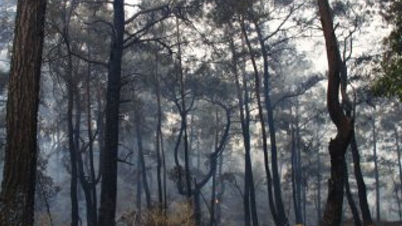 Dalaman'daki yangının boyutu gün ağarınca ortaya çıktı