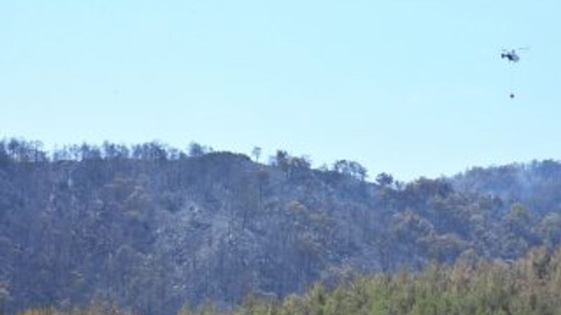Dalaman'da çıkan yangın söndürüldü