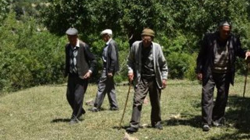 Kıraç toprakları yemyeşil ormana çeviren 5 kardeş