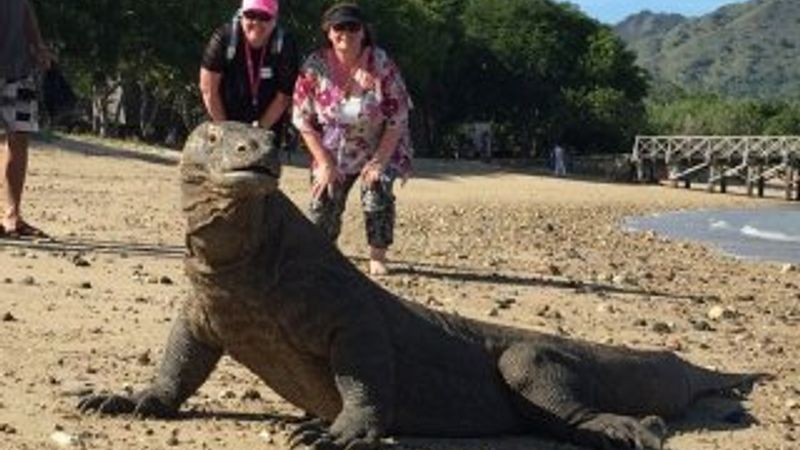 Endonezya, Komodo Adası'nı boşaltıyor
