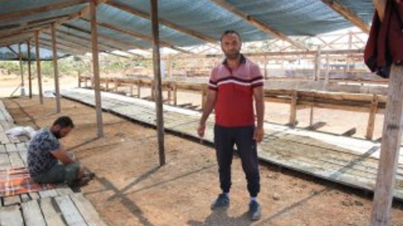 Nakliye için verdiği kurbanlıkları çalındı