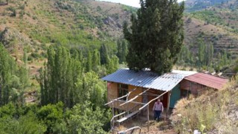Hayalini kurduğu evi ardıç ağacına yaptı
