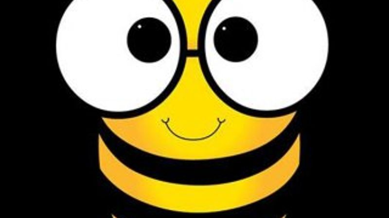 Yerli sosyal medya uygulaması 'Yazbee' kullanıma açıldı