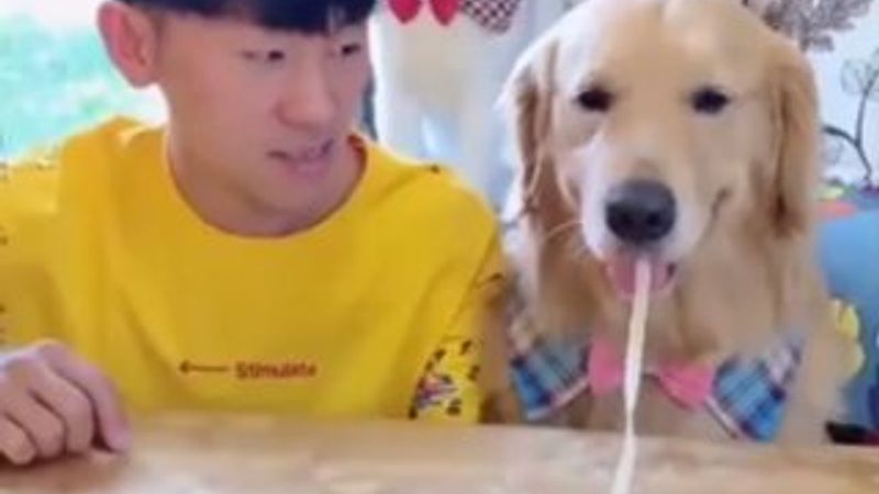 Köpeğiyle erişte yeme yarışı yapan adam