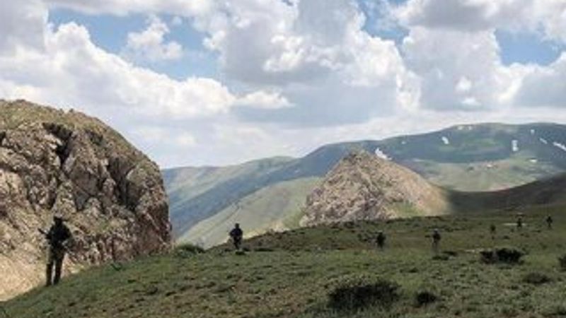 Van'da biri gri kategoride 2 terörist teslim oldu