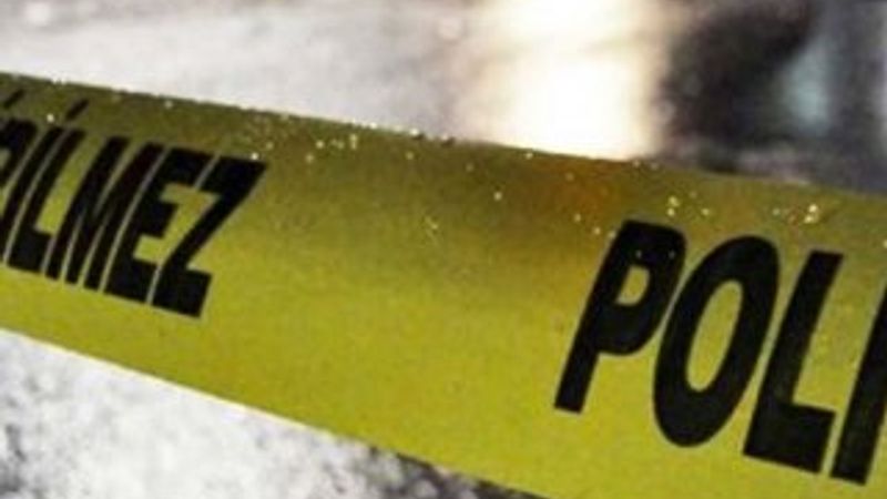 Ordu’da akraba kavgası: 2 ölü