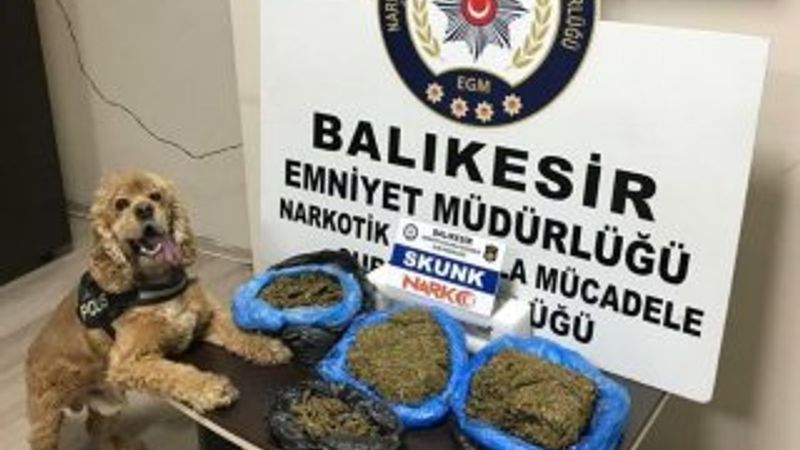 Balıkesir’de uyuşturucu operasyonu
