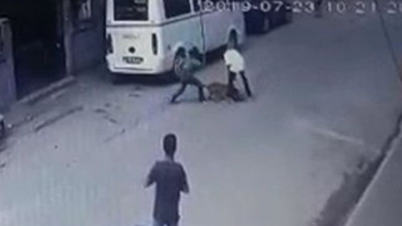 Hamile kediyi pitbulla parçalatan çocukların ifadesi