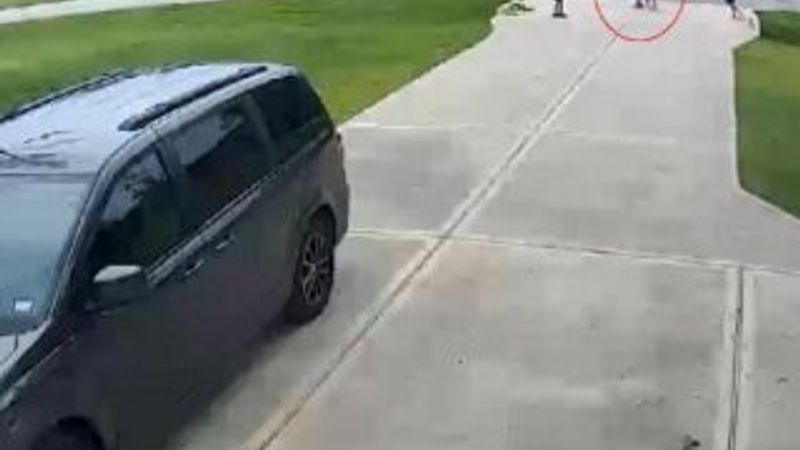 ABD’de pitbullun saldırdığı çocuğa komşusu yetişti