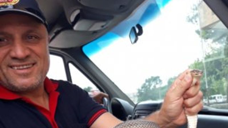 Çorum'da bir evin kombisinden yılan çıktı