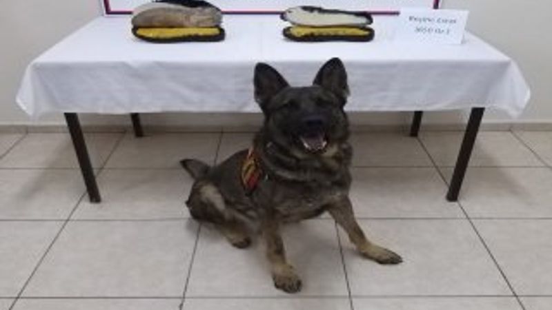 Sivas'ta ayakkabı tabanında uyuşturucu ele geçirildi