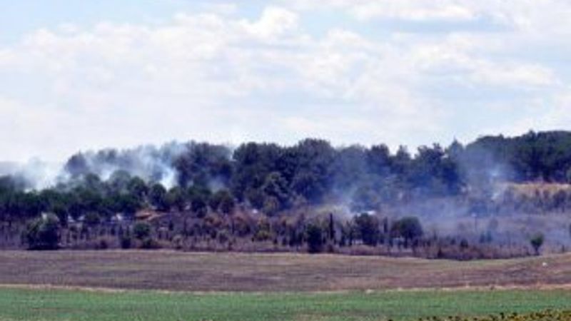 Tekirdağ'da yangında 50 dönüm ormanlık alan zarar gördü