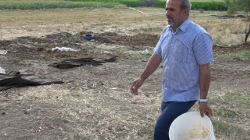 Kırıkkale'de hırsızlar 40 kurbanlık koç çaldı