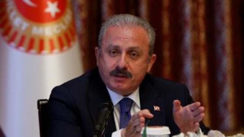 TBMM Başkanı Şentop: Parlamenter sistem, krallıklarda var