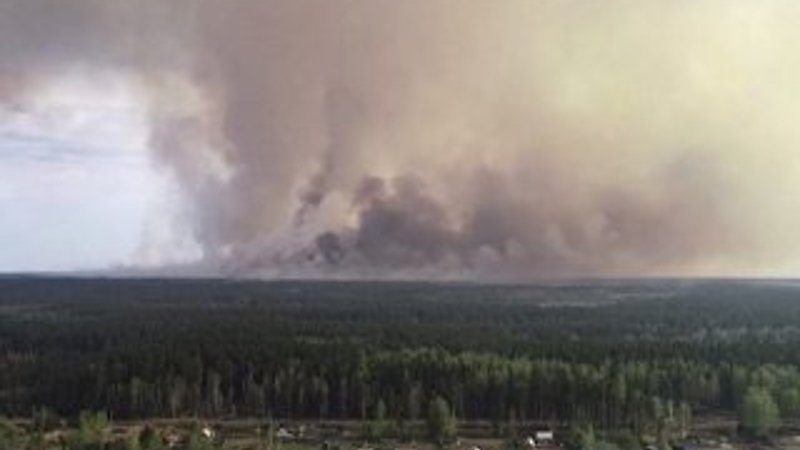 Rusya'da 3 milyon hektardan fazla orman yandı