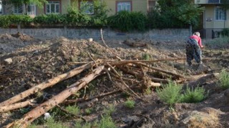 HDP'li Batman Belediyesi 170 ağacı katletti