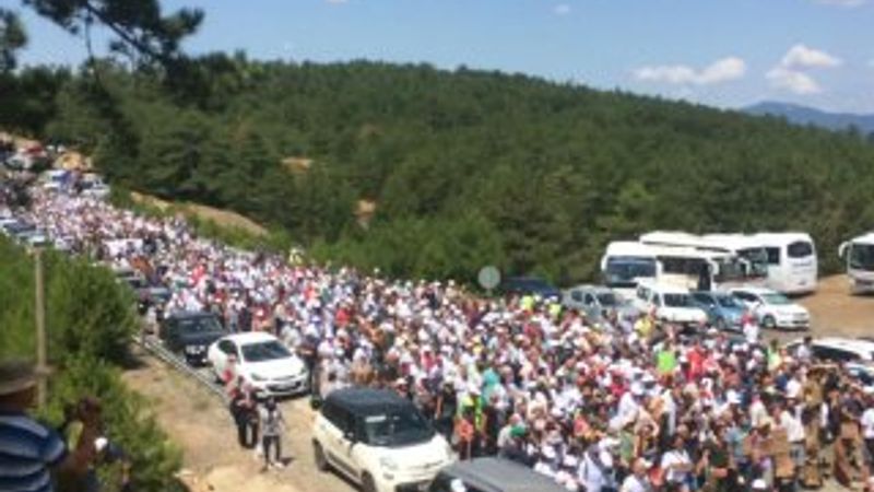 Kaz Dağları'nda ağaç katliamına karşı eylem